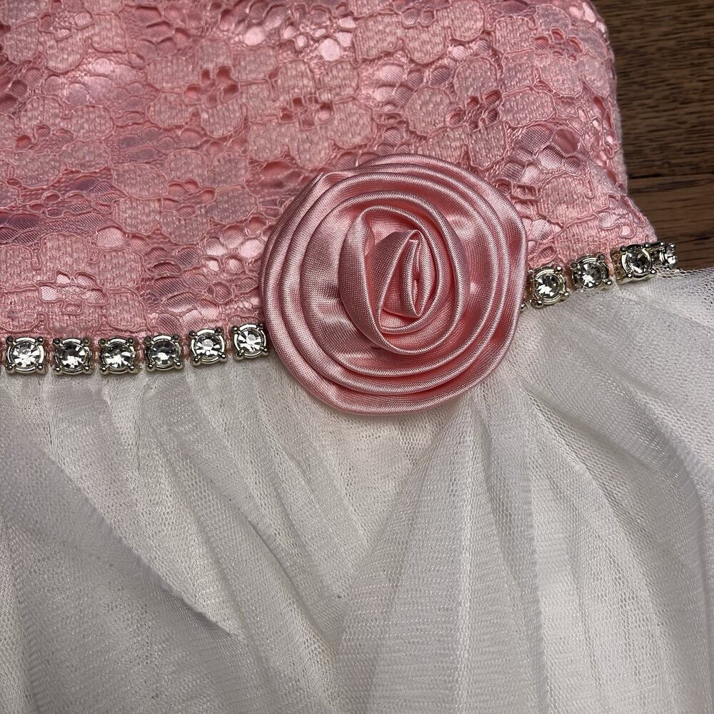 Size 3T Baby Girl Pink White Tulle Dress Jewel Belt Rose Party American Princess - Picture 11 of 16